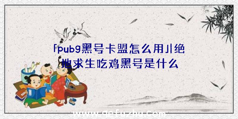 「pubg黑号卡盟怎么用」|绝地求生吃鸡黑号是什么